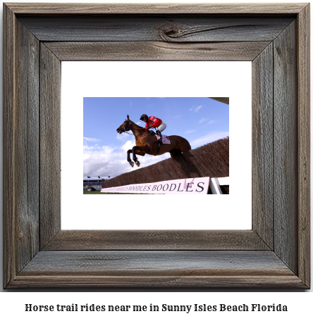 horse trail rides near me in Sunny Isles Beach, Florida